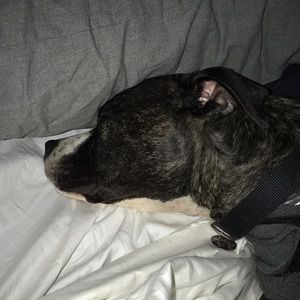 Meet your Posher, Mmegan